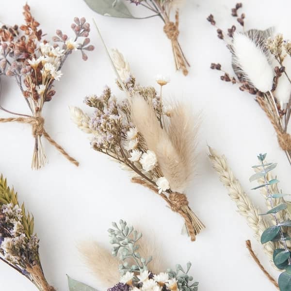 multiple dried floral bundles spaced out shown on white background